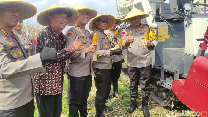 Kapolda Jatim pimpin panen raya jagung hibrida