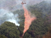 Terus Bertambah, Korban Jiwa Kebakaran Hutan di Korsel Jadi 19 Orang