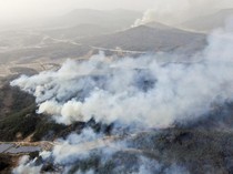 Karhutla di Korsel Meluas, Situs Warisan Dunia UNESCO Terancam