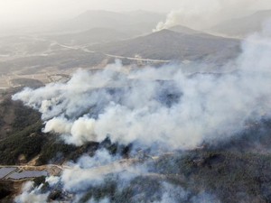 Paling Mematikan, Kebakaran Hutan di Korsel Tewaskan 27 Orang