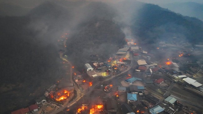 Catatan Rekor Mengerikan Kebakaran Hutan di Korsel