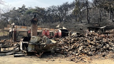 Kuil Berusia 1.000 Tahun di Korsel Hancur Terdampak Kebakaran Hutan