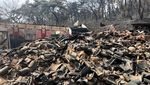 Kuil Berusia 1.000 Tahun di Korsel Hancur Terdampak Kebakaran Hutan