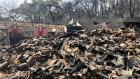 Sebuah kuil kuno di Kabupaten Uiseong, Korea Selatan, hancur total akibat kebakaran hutan yang terus berkobar di wilayah tersebut, menurut laporan media Korea Selatan pada Selasa, dengan mengutip otoritas kehutanan setempat.  