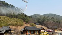 Sementara itu, Perdana Menteri sekaligus Presiden Sementara Korea Selatan, Han Duck-soo, memerintahkan pengerahan seluruh sumber daya yang tersedia, termasuk militer, untuk memadamkan kebakaran yang melanda wilayah tenggara negara itu.  