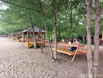Mudik Lewat Jalur Pantura Probolinggo Jangan Lupa Mampir 5 Wisata Ini!