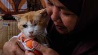 Biaya jasa penitipan Rp25.000 per satu ekor kucing per hari.
