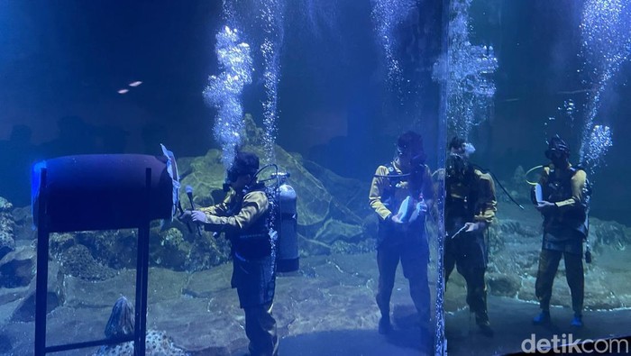 Potret Aksi Main Bedug-Hadroh di Dalam Akuarium Pangandaran
