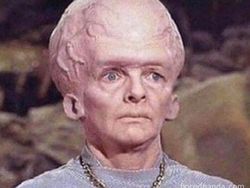 Realita Dunia Kerja Memang Keras, Semangat Cuan, Cuan, Cuan!