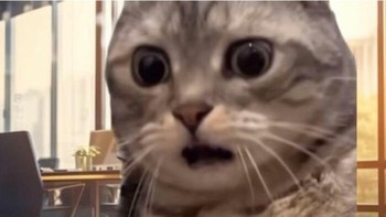 Padahal nulis surat resign-nya barengan. Foto: Funny Work Memes via Bored Panda  