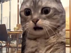 Realita Dunia Kerja Memang Keras, Semangat Cuan, Cuan, Cuan!