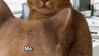 Ups. Foto: Funny Work Memes via Bored Panda  