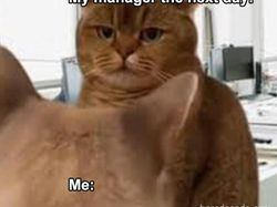 Realita Dunia Kerja Memang Keras, Semangat Cuan, Cuan, Cuan!