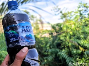 Penyebab Air Menghitam-Berbau Menyengat di Dekat Perusahaan Kertas Tarakan