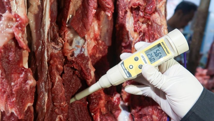 Sidak daging jelang Lebaran Petugas Dinas Pertanian dan Pangan Banyuwangi membawa sampel daging sapi untuk diperiksa di Pasar Blambangan, Banyuwangi, Jawa Timur, Rabu (26/3/2025). Sidak tersebut untuk mengecek ketersediaan daging jelang Hari Raya Idul Fitri dan memastikan kondisi daging memenuhi persyaratan, yaitu aman, sehat, utuh dan Halal (Asuh). ANTARA FOTO/Budi Candra Setya/rwa.