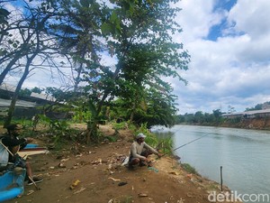 Jabar Hari Ini: Buaya Lagi-lagi Muncul di Sungai Cimandiri