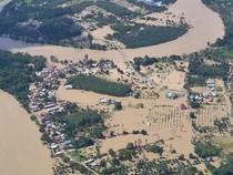 Buaya Mengintai Korban Banjir Besar Berau