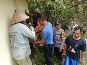Bayi Perempuan Dalam Kardus Ditemukan di Sawah Weru Sukoharjo