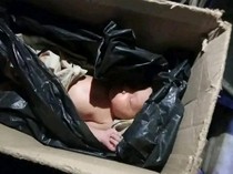 Heboh Penemuan Bayi di Sebelah Tempat Curi Piring Rumah Warga Kupang