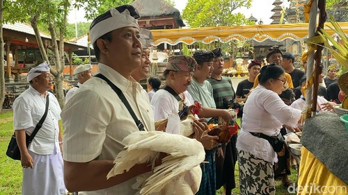 Desa adat Buleleng menggelar ritual Mapepade sebagai upaya membersihkan hewan yang akan dimanfaatkan sebagai sarana upacara pecaruan Tawur Labuh Gentuh di Catus Pata Desa Adat Buleleng, Kamis (27/3/2025).