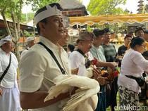 Tradisi Mapepade, Ritual Menyucikan Hewan untuk Upacara Adat