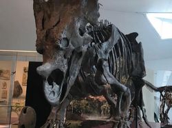 Foto Ini Ungkap Peradaban Kuno, Siap-siap Tercengang!