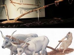 Foto Ini Ungkap Peradaban Kuno, Siap-siap Tercengang!