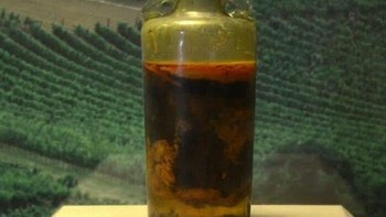 Ditemukan Tahun 1867 Di Makam Seorang Bangsawan Romawi Dekat Speyer, Jerman, Botol 1,5 Liter Ini, Sekarang Disimpan Di Museum Sejarah Palatinate, Menyimpan Apa Yang Dulunya Merupakan Anggur Romawi Dari Tahun 325 M Foto: Boredpanda
