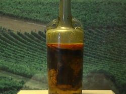 Foto Ini Ungkap Peradaban Kuno, Siap-siap Tercengang!