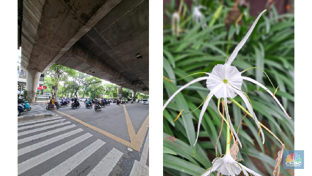 Hasil Foto Kamera Samsung Galaxy A56 5G.