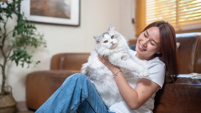 Studi: Cara Terbaik Bangun Ikatan Kimiawi dengan Kucing Kamu