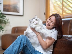Kenalan dengan Pugsley, Kucing dengan Ekor Terpanjang di Dunia
