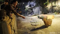 Widi mengungkapkan sejumlah upaya yang dilakukan untuk mendorong perjalanan wisatawan nusantara yang terjangkau, aman, tenang, dan menyenangkan selama periode Lebaran 2025. Di antara upaya tersebut adalah penurunan harga tiket pesawat domestik kelas ekonomi di seluruh Indonesia sebesar 13-14 persen, dengan pemesanan dimulai pada 1 Maret 2025, untuk periode perjalanan 24 Maret hingga 7 April 2025.