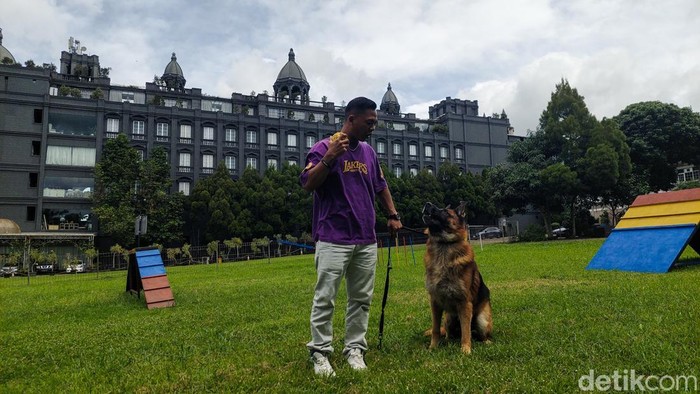 Keeper saat bermain dengan hewan peliharaan di Pet Hotel