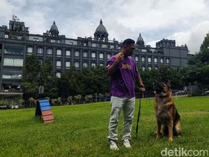 Pet Hotel, Tempat Menginap Hewan Peliharaan yang Ramai Jelang Lebaran