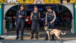 Polda Jabar Kerahkan Anjing K9 Amankan Mudik Lebaran di Stasiun Bandung