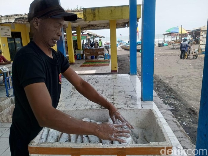 Salah satu nelayan saat menata bawal laut di Pantai Depok, Kretek, Bantul, Kamis (27/3/2025).