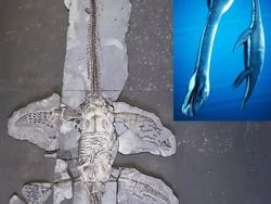 Foto Benda Kuno Bongkar Rahasia Peradaban Sebelum Kita