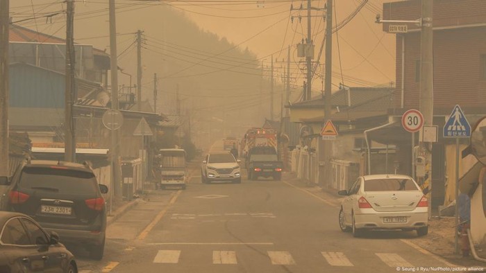 Kebakaran Hutan di Korea Selatan Catat Rekor Paling Besar dan Mematikan