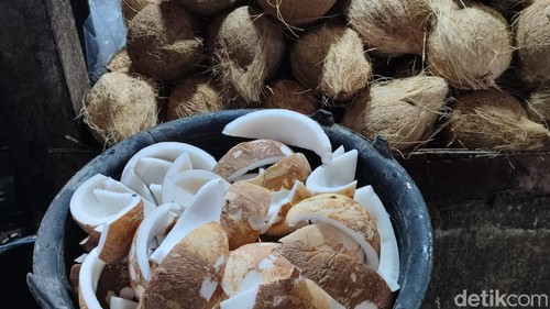 Stok Kelapa Parut Langka, Harga Tembus Rp 20.000 per Butir