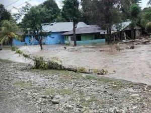 13 Rumah di Kupang Terendam Banjir, Warga Mengungsi tapi Tak Ada Bantuan