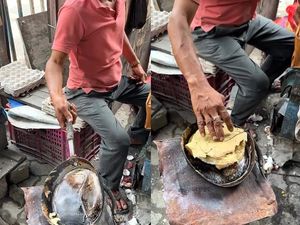Duh! Penjual Ini Santai Buat Roti Telur Ditemani Puluhan Tikus