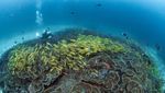 Potret Cantik Gisella Anastasia di Raja Ampat
