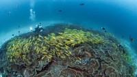 Foto ini keren banget sih! Kamu kalau ke Raja Ampat bisa juga nih meniru konsep foto seperti ini.