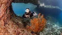 Tak afdal rasanya liburan ke Raja Ampat tak menikmati keindahan bawah lautnya yang juga diakui dunia. Keren ya Gisel?