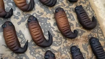 Eh kegosongan deh. Foto: TikTok/fitriirahmadhanii26