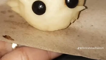 Lucu nih kalau sudah matang. Foto: TikTok/fitriirahmadhanii26