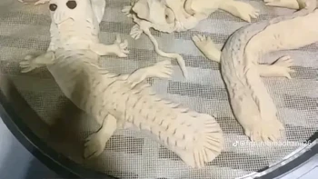 Niat mau bikin kue bentuk naga. Foto: TikTok/fitriirahmadhanii26