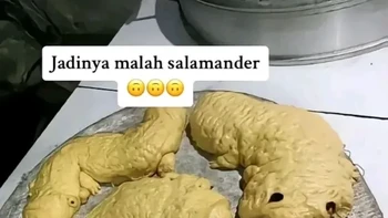 Hasilnya bikin ngakak dan mau nangis. Foto: TikTok/fitriirahmadhanii26