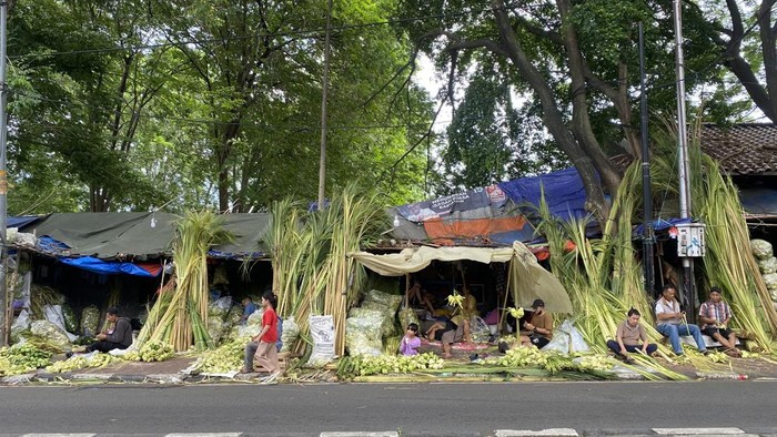 Pedagang sarang ketupat di Palmerah (Devi/detikcom)